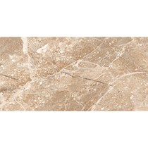 Gạch Đồng Tâm bóng 4080REGAL006