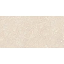 Gạch Đồng Tâm bóng 4080REGAL008