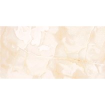 Gạch Đồng Tâm bóng 4080REGAL011