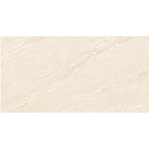 Gạch Đồng Tâm bóng 4080REGAL018