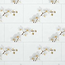 Gạch Đồng Tâm bóng D4080ORCHID001