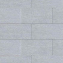 Gạch Đồng Tâm chống trượt 3060GECKO002
