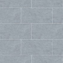 Gạch Đồng Tâm chống trượt 3060GECKO008