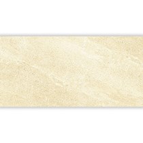 Gạch Đồng Tâm đồng chất 3060VICTORIA001