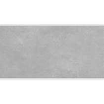 Gạch Đồng Tâm đồng chất 3060VICTORIA002