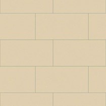 Gạch Đồng Tâm đồng chất 3060VICTORIA004