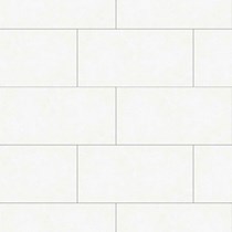 Gạch Đồng Tâm đồng chất 3060VICTORIA005