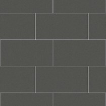 Gạch Đồng Tâm đồng chất 3060VICTORIA008