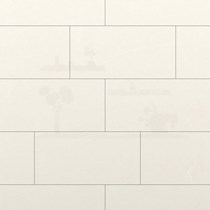 Gạch Đồng Tâm men bóng 3060DELUXE005