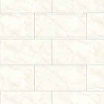 Gạch Đồng Tâm men bóng 3060ROXY004