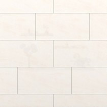 Gạch Đồng Tâm men bóng 3060ROXY005