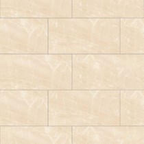 Gạch Đồng Tâm men bóng 3060ROXY006