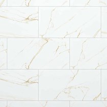 Gạch Đồng Tâm Porcelain 4080GECKO002