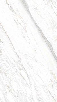 Gạch Eurotile 60x120 SIG P61201