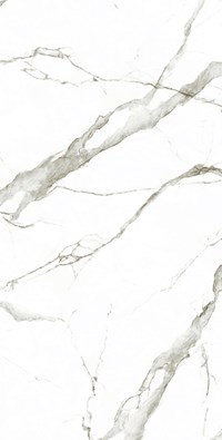 Gạch Eurotile 60x120 SIG P61206