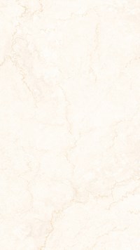 Gạch Eurotile 60x120 SIG-THT-Q01