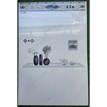Gạch ốp tường giá rẻ 300x600 R3601