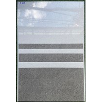 Gạch ốp tường giá rẻ 300x600 R3609