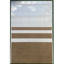 Gạch ốp tường giá rẻ 300x600 R3610