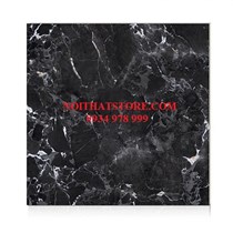 Gạch Hoàn Mỹ 100x100 vi tinh 54004