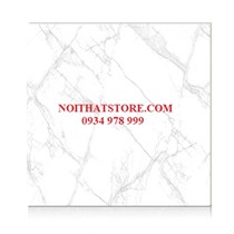 Gạch Hoàn Mỹ 100x100 vi tinh 55001