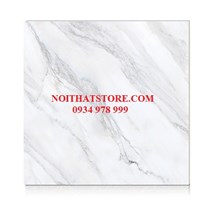 Gạch Hoàn Mỹ 100x100 vi tinh 55002