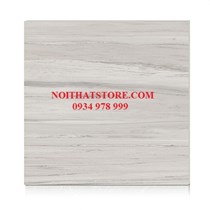 Gạch Hoàn Mỹ 100x100 vi tinh 55003