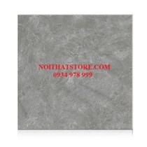 Gạch Hoàn Mỹ 100x100 vi tinh 55006