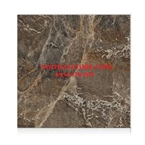 Gạch Hoàn Mỹ 100x100 vi tinh 55007