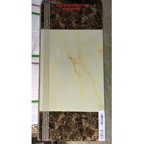Gạch lát cầu thang 47x100 1803
