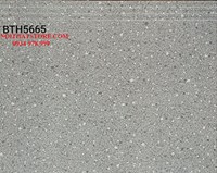 Gạch lát cầu thang 50x60 BTH5665