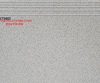 Gạch lát cầu thang 50x60 CT5602