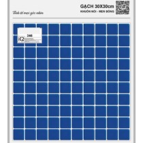 Gạch lát hồ bơi 30x30 TTP346
