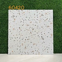 Gạch lát nền Terrazzo 60x60 KIS 60420
