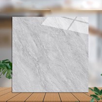 Gạch lát nền Catalan 100x100 10018