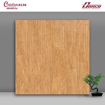 Gạch lát nền Catalan 60x60 6136
