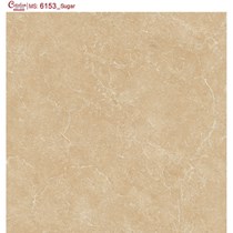 Gạch lát nền Catalan 60x60 6153