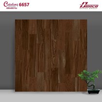 Gạch lát nền Catalan 60x60 6657 mờ