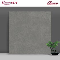 Gạch lát nền Catalan 60x60 6675