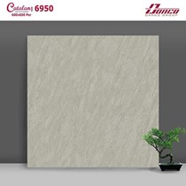 Gạch lát nền Catalan 60x60 6950