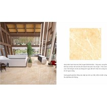 Gạch lát nền CMC 100x100 CGD 1010003S2