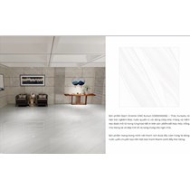 Gạch lát nền CMC 100x100 CGD 1010005S2