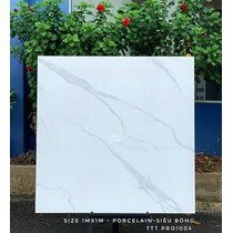 Gạch lát nền CMC 100x100 TTT PRO1004
