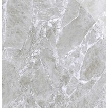 Gạch lát nền CMC 60x60 LX6668