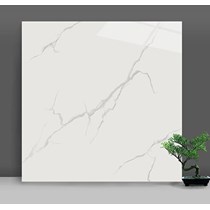 Gạch lát nền Đá bóng kính giá rẻ Catalan 600x600 6958