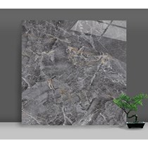 Gạch lát nền đá bóng kính giá rẻ Catalan 60x60 6073
