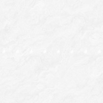 Gạch lát nền Đồng Tâm 100DONGVAN001
