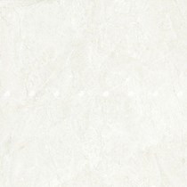 Gạch lát nền Đồng Tâm 100DONGVAN002