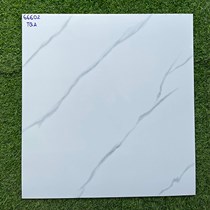 Gạch lát nền giá rẻ 60x60 66602