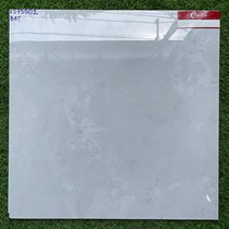 Gạch lát nền 60x60 Catalan XS 75002